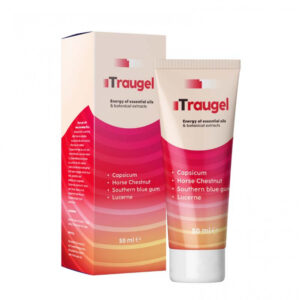 Traugel